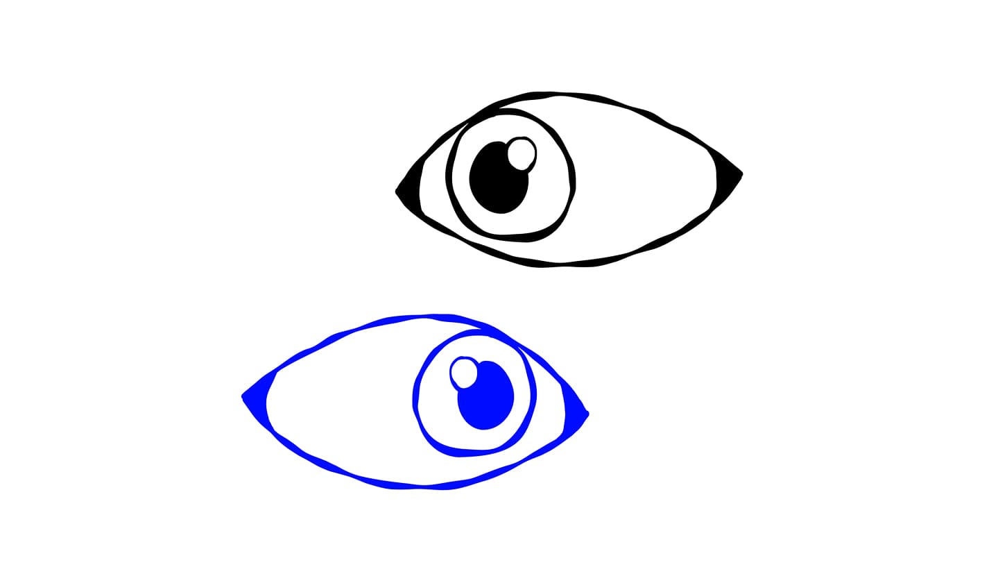 THE EYE